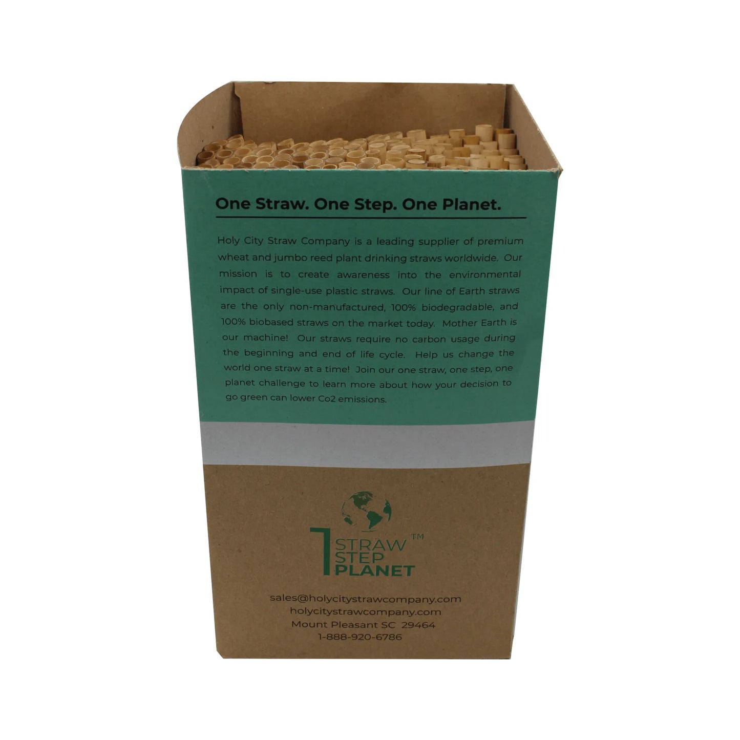 Tall Reed Drinking Straws