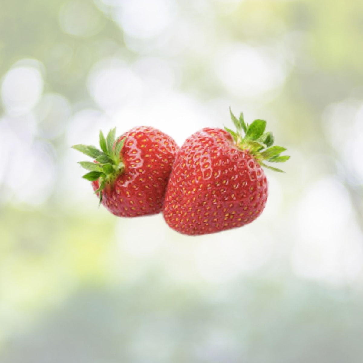 Red Strawberry Seeds - 100+ Pack - Big Flesh Fruit - Perennial - Container Garden - USA