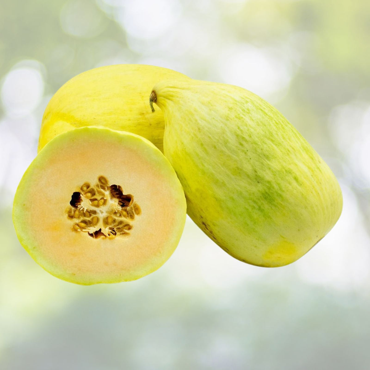 Cantaloupe Seeds 5000 Count Crenshaw Green Sweet Peach Flesh Egg-Shaped Melon Cucumis melo Yellow Green Rind