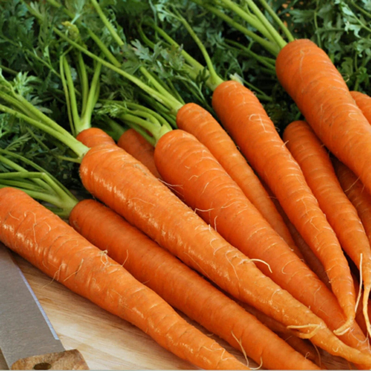 Carrot Seeds Little Finger Variety Non-GMO 1000+ Seeds Daucus carota Vegetable Gardening Seed