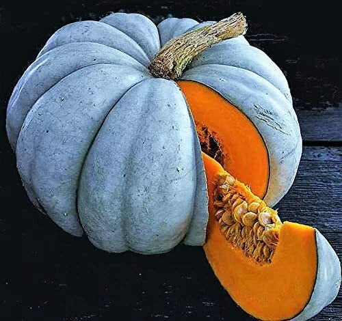 Jarrahdale Blue Pumpkin Seeds 10 Pack | Winter Squash Sweet Queensland Cinderella | Cucurbita maxima