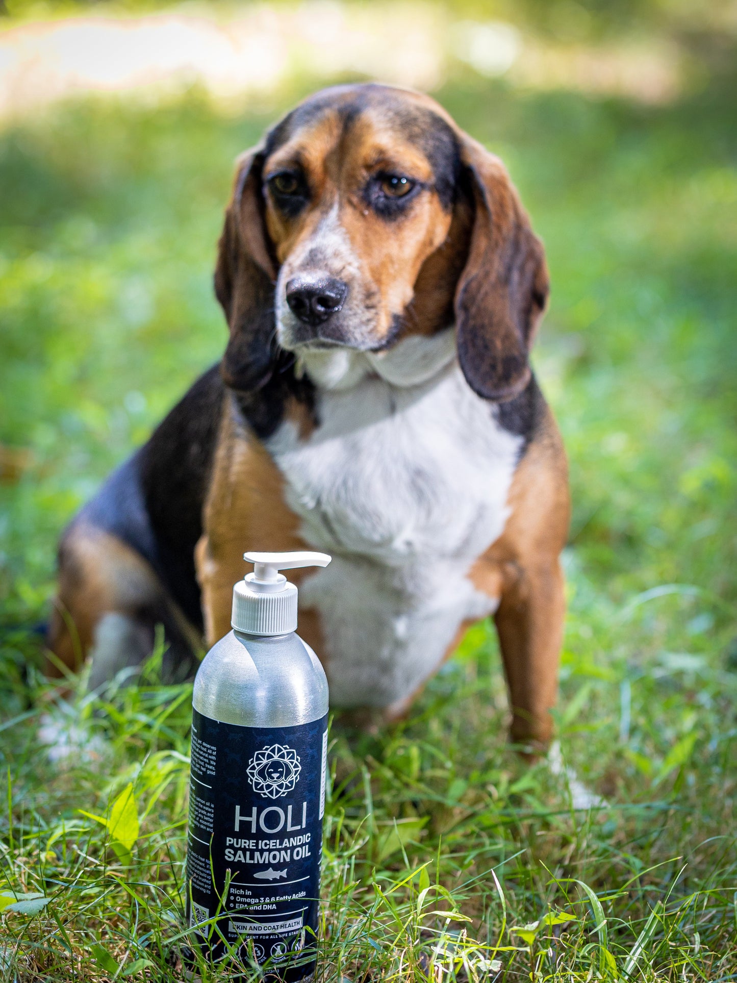 Icelandic Salmon Oil for Dogs and Cats by HOLI