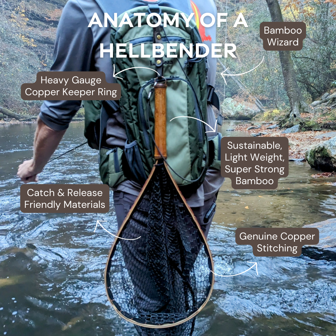Blue Line Wide