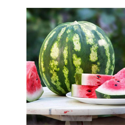 Fruit and Vegetable Garden Seed Kit | 50+ Seeds Watermelon, Cantaloupe, Tomato | Heirloom Varieties
