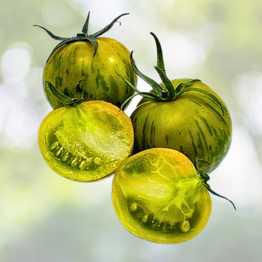 Tomato Seeds - 50 Pack - Green Zebra Heirloom - Sweet & Zingy - Non-GMO - Indeterminate (Solanum lycopersicum)