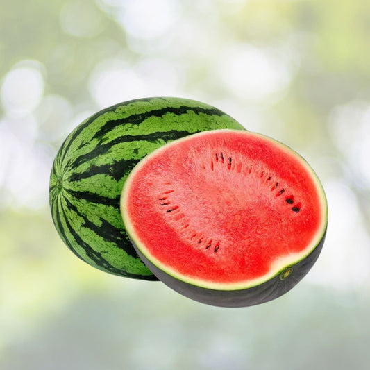 Crimson Watermelon Seeds - 30 Pack, High-Quality Seeds for Planting, Citrullus lanatus, Made in USA, Ships from Iowa