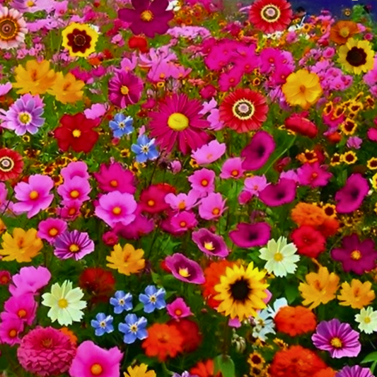 200pcs Mixed Perennial Flower Seeds Collection - Seasonal Enchantment Garden - Ideal for Gardeners - Various Colors and Varieties