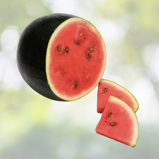 Cal Sweet Watermelon Seeds | Heirloom NON-GMO | Garden Seeds | Citrullus lanatus - Non-GMO Watermelon Gardening Seeds