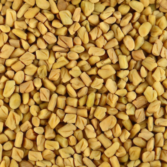 Fenugreek Seeds Heirloom Variety 20+ Seeds – Healthy Tasty Herb Trigonella foenum-graecum for Cooking and Gardening