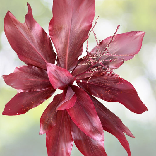Hawaiian Lilinoe Red Ti Leaf Fresh Cuttings 6-inch Starter Logs - Cordyline fruticosa - Set of 3