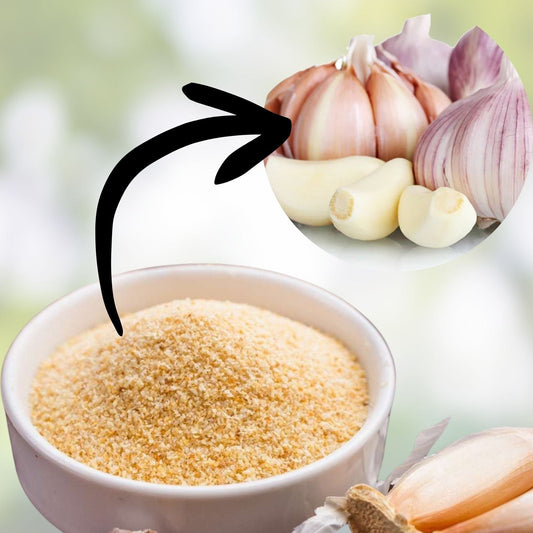 Garlic Powder 12 oz Dried Ground Culinary Spice Allium sativum for Seasoning Dishes