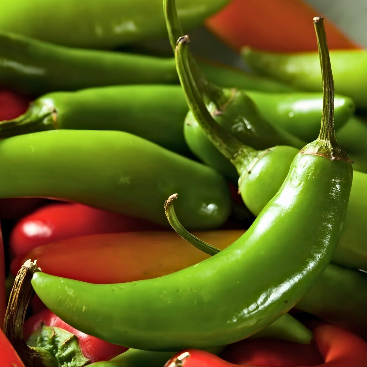 Heirloom Serrano Pepper Seeds – 100 Non-GMO Hot Chile Peppers – Capsicum annuum, Spicy Vegetable Seeds