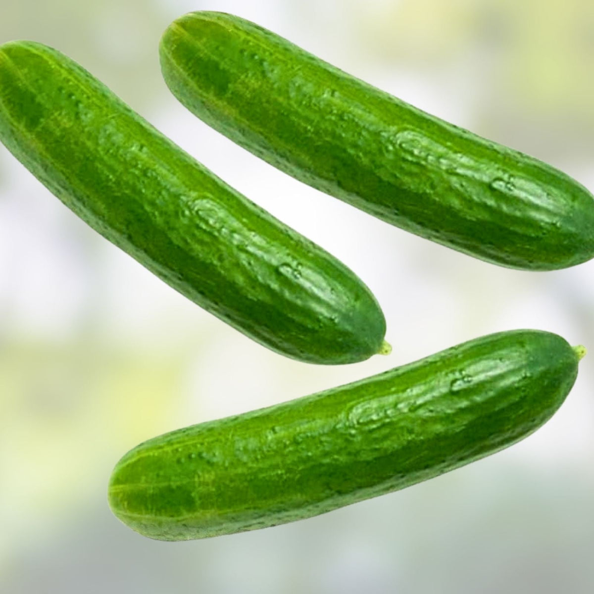 Heirloom Cucumber Seeds - 50+ Non-GMO Long Green Cucumis sativus Vegetable Seeds for Garden and Farming