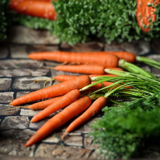 Carrot Vegetable Seeds 400+ Non-GMO Multiple Varieties for Home Garden Daucus carota