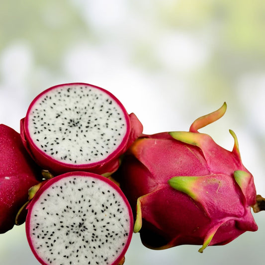 Unrooted 8" Dragon Fruit Cutting Vine White Flesh Pitahaya Hylocereus Cactus Plant