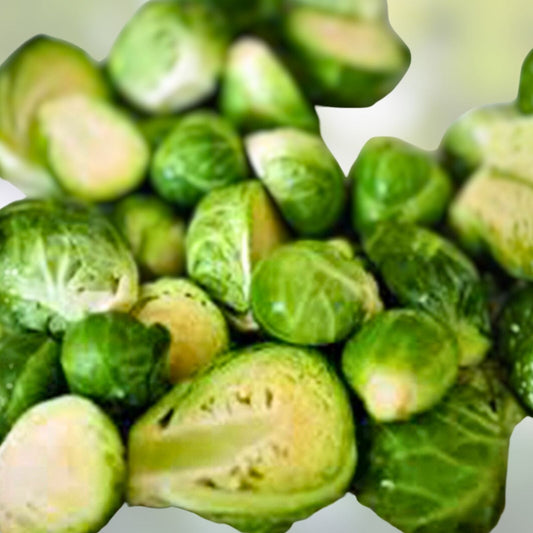 Brussel Sprout Seeds 500 Non-GMO Heirloom Churchill Variety for Home Gardening - Brassica oleracea var. gemmifera