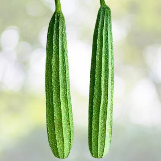 20pcs Heirloom Ridged Sponge Gourd Seeds - Angled Luffa Gourd Vegetable Seeds - Luffa acutangula