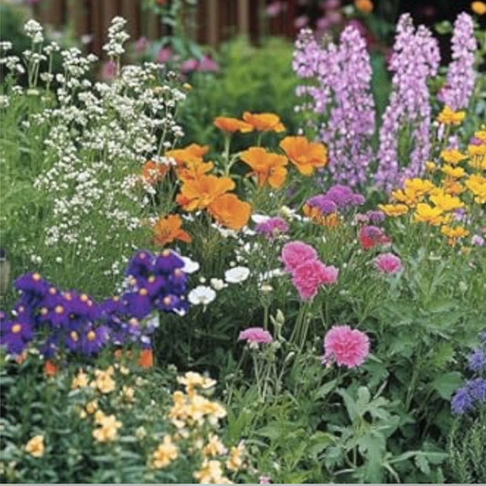 Aromatic Mix Seeds - 15+ Highly Fragrant Varieties - Fast Growing 300+ Seeds - Perfect for Gardens and Landscaping