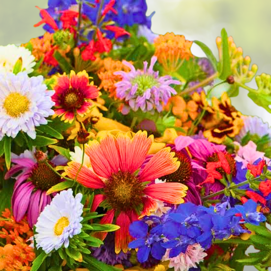 Wildflower Seed Mix - Landscaper's Pack - Non-GMO Hummingbird Nectar - 5000 Seeds - Diverse Pollinator-Friendly Blend