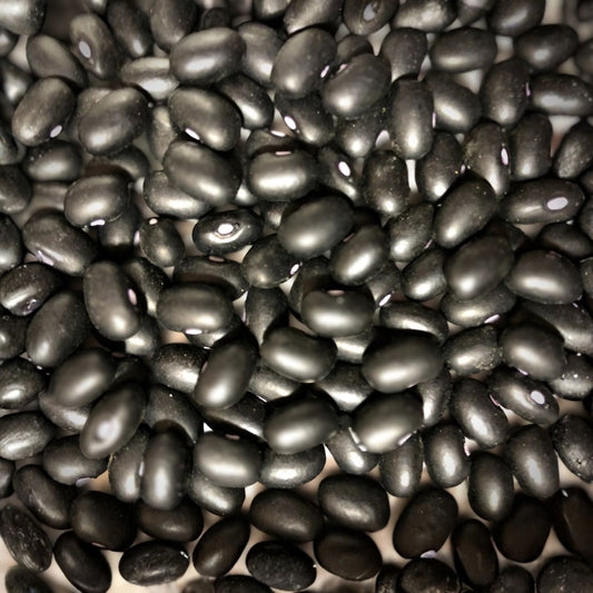 Black Turtle Pole Bean Seeds – Heirloom Variety, Organic Vegetable Seeds, Phaseolus vulgaris, 100+ Black Bean Seeds for Gardening