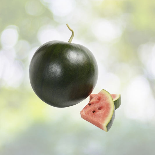 Black Diamond Watermelon Seeds - 20+ Seeds - Heirloom Variety (Citrullus lanatus) - Large Fruits 30-50 lbs, USA Grown