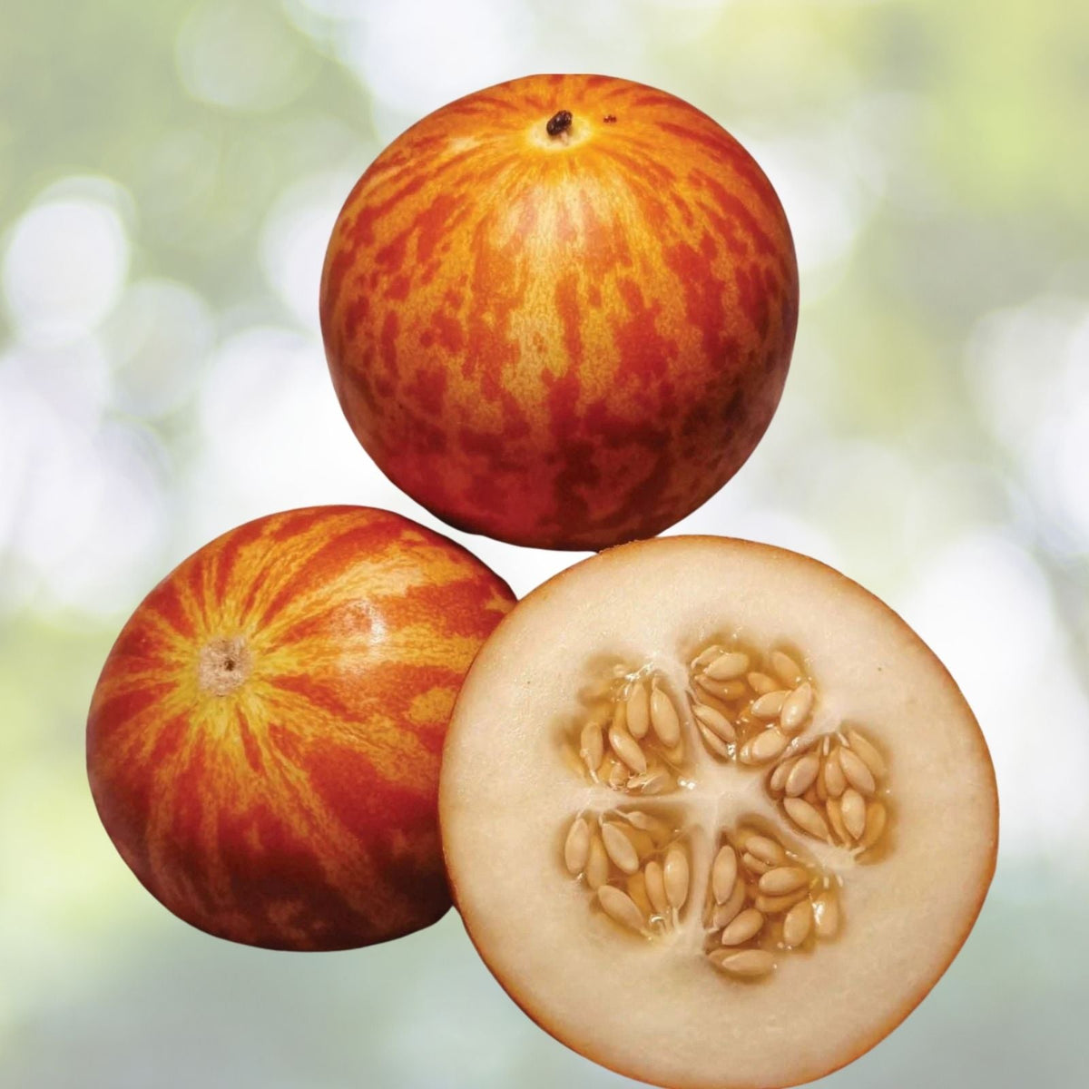 Rare Tigger Melon Seeds - 30 Heirloom Seeds - Delicious and Easy to Grow - Cucumis melo