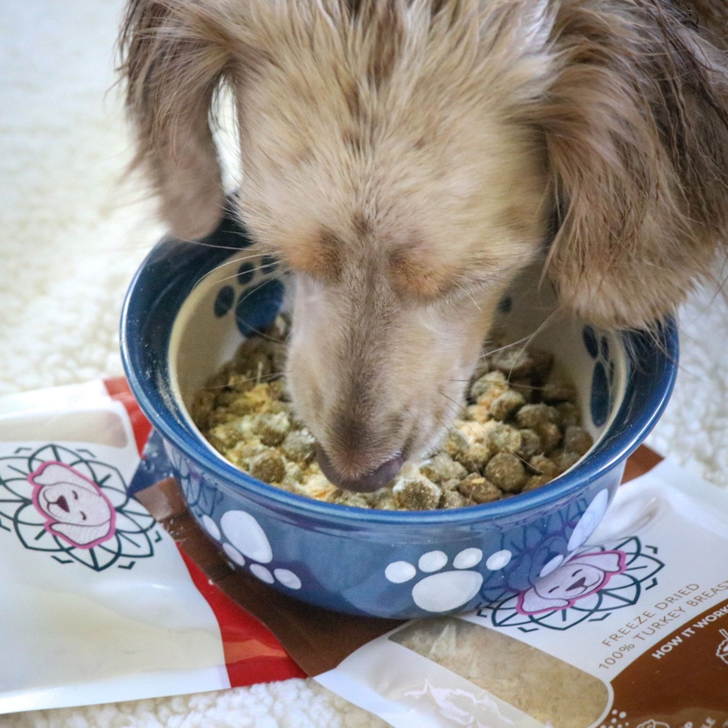 Rabbit Dog Food Topper by HOLI