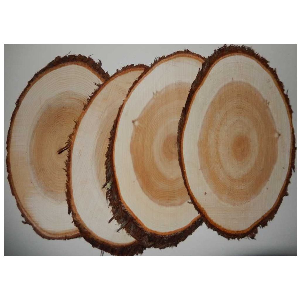 Maine Natural Cedar Oval Grilling Planks