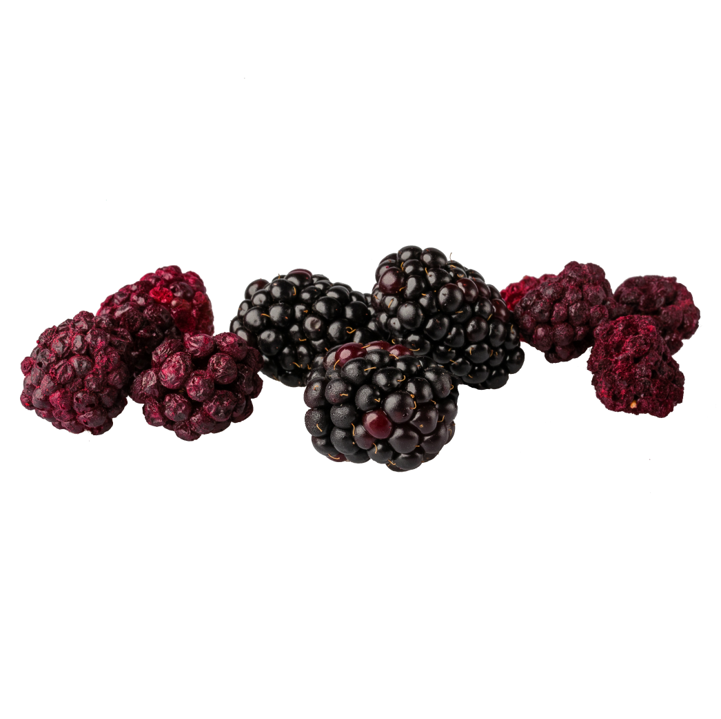 Freeze Dried Blackberry Snack by The Rotten Fruit Box