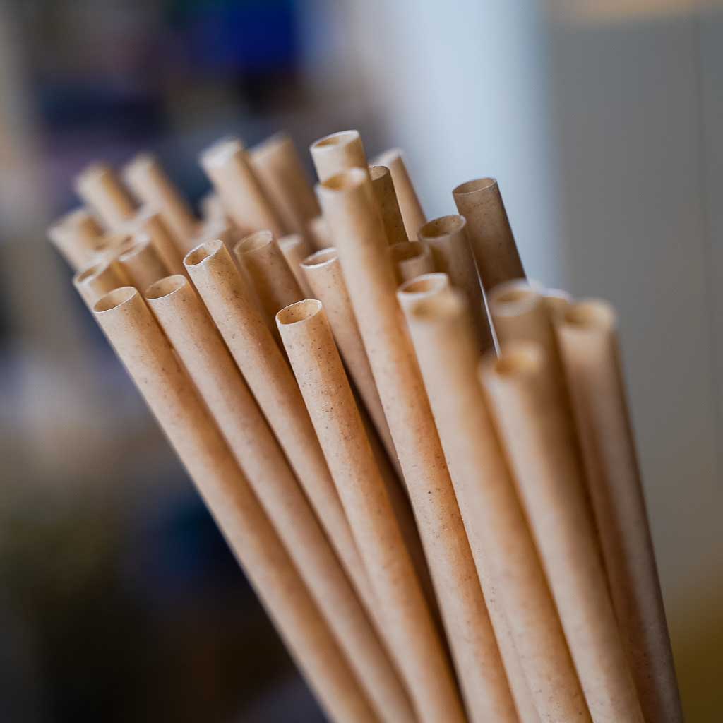 EQUO Sugarcane Drinking Straws by EQUO