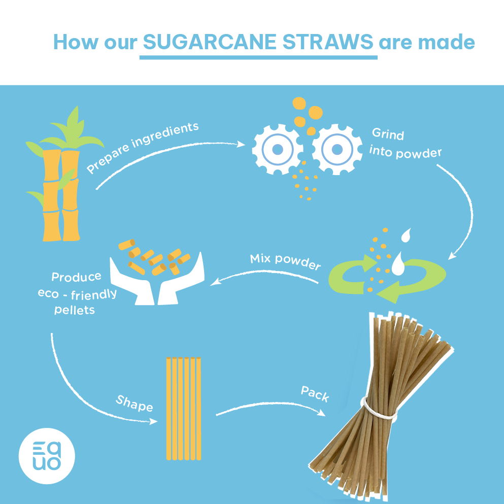 EQUO Sugarcane Drinking Straws by EQUO