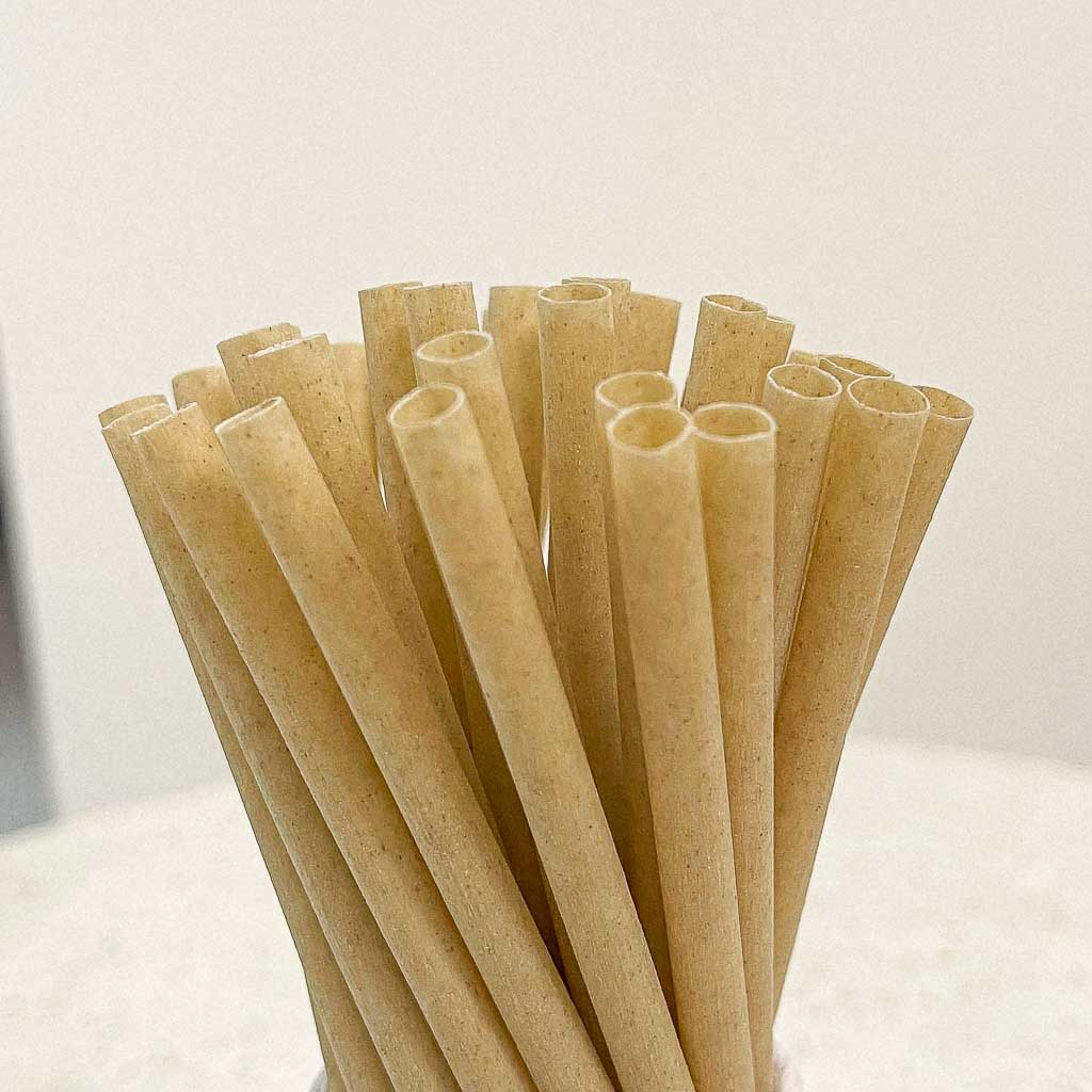 EQUO Sugarcane Drinking Straws by EQUO