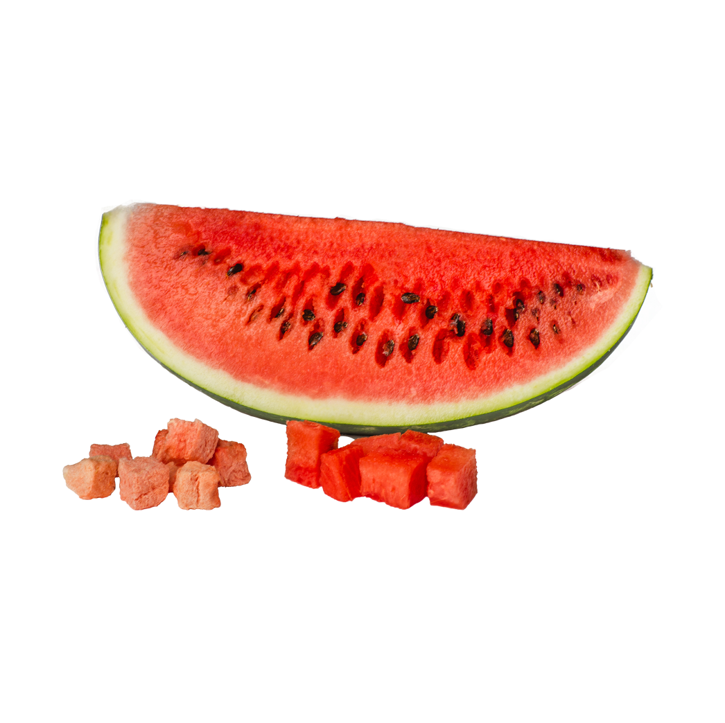 Freeze Dried Watermelon Snack by The Rotten Fruit Box